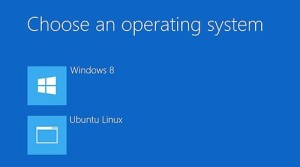Dual Boot Windows 8 and Linux