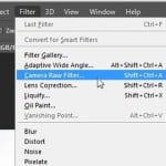 Use Adobe Camera RAW as Filter