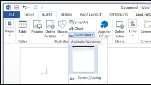 Microsoft Word 2013 Built-in Screenshot Tool